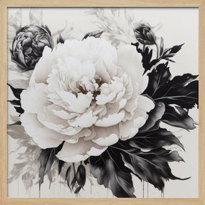 Peonies Sketch Poster