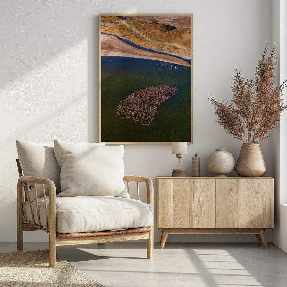 Flamingos on the Lake Poster