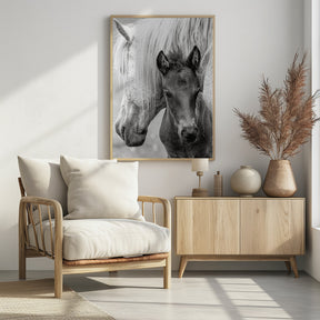 The Foal Poster