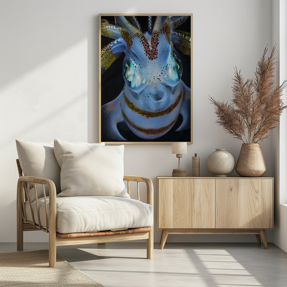 Squid close up Poster