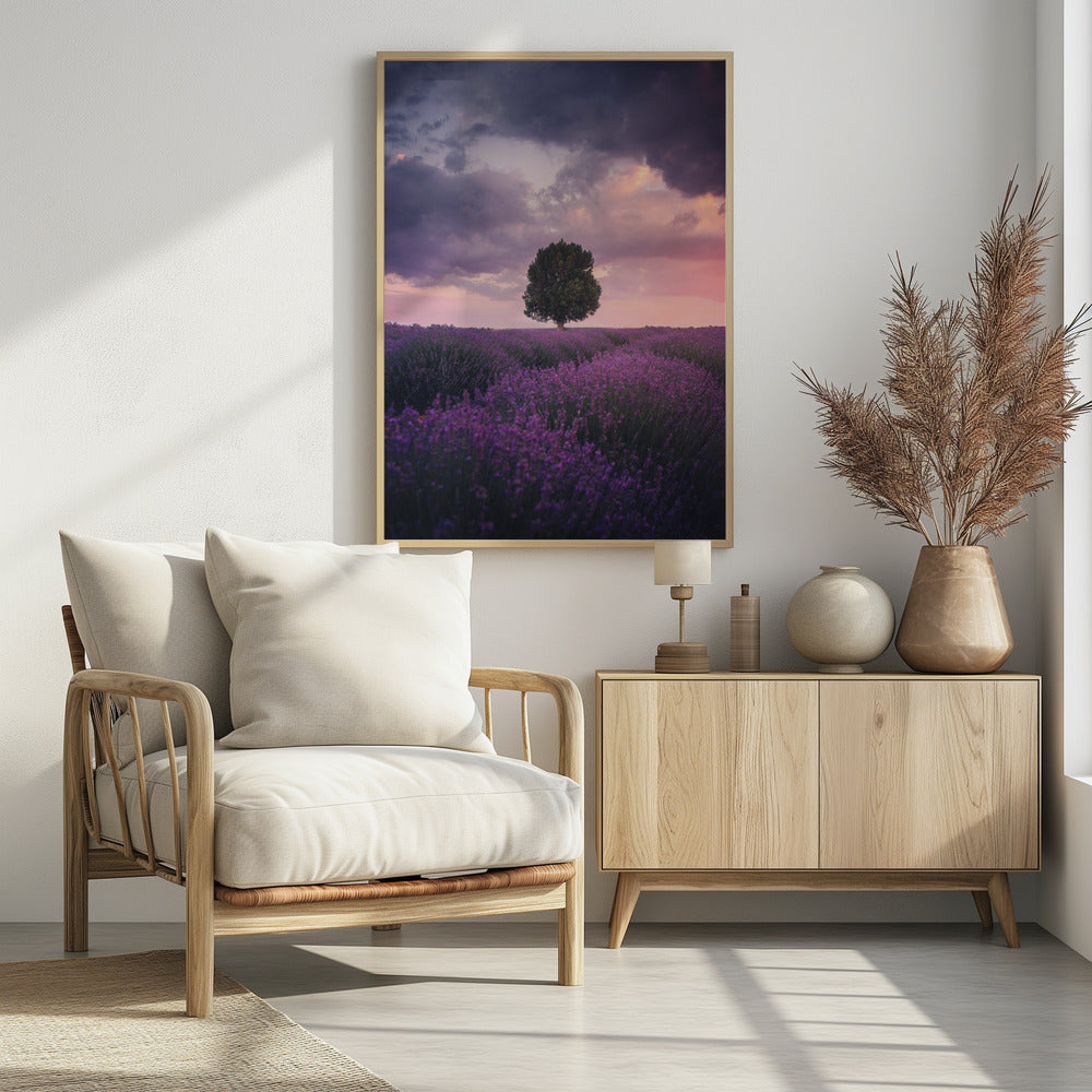 Lavender Fields, Isparta Poster