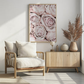 Pink Roses No 01 Poster