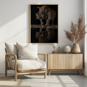 REFLEXION RHINO Poster