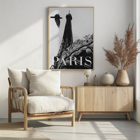 Paris Dove Poster