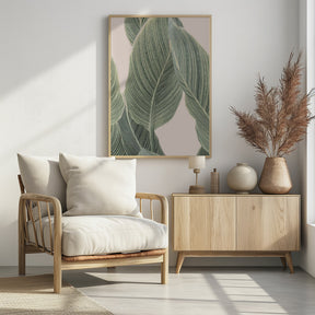 Calla Leaf Poster