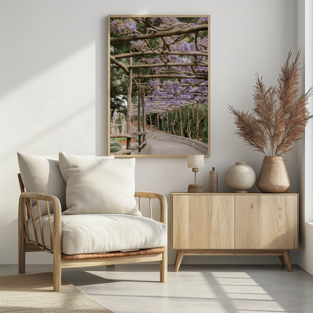 The Lavender Walkway Poster