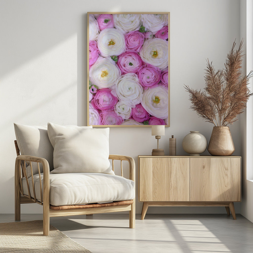 Scattered ranunculus in pink II Poster