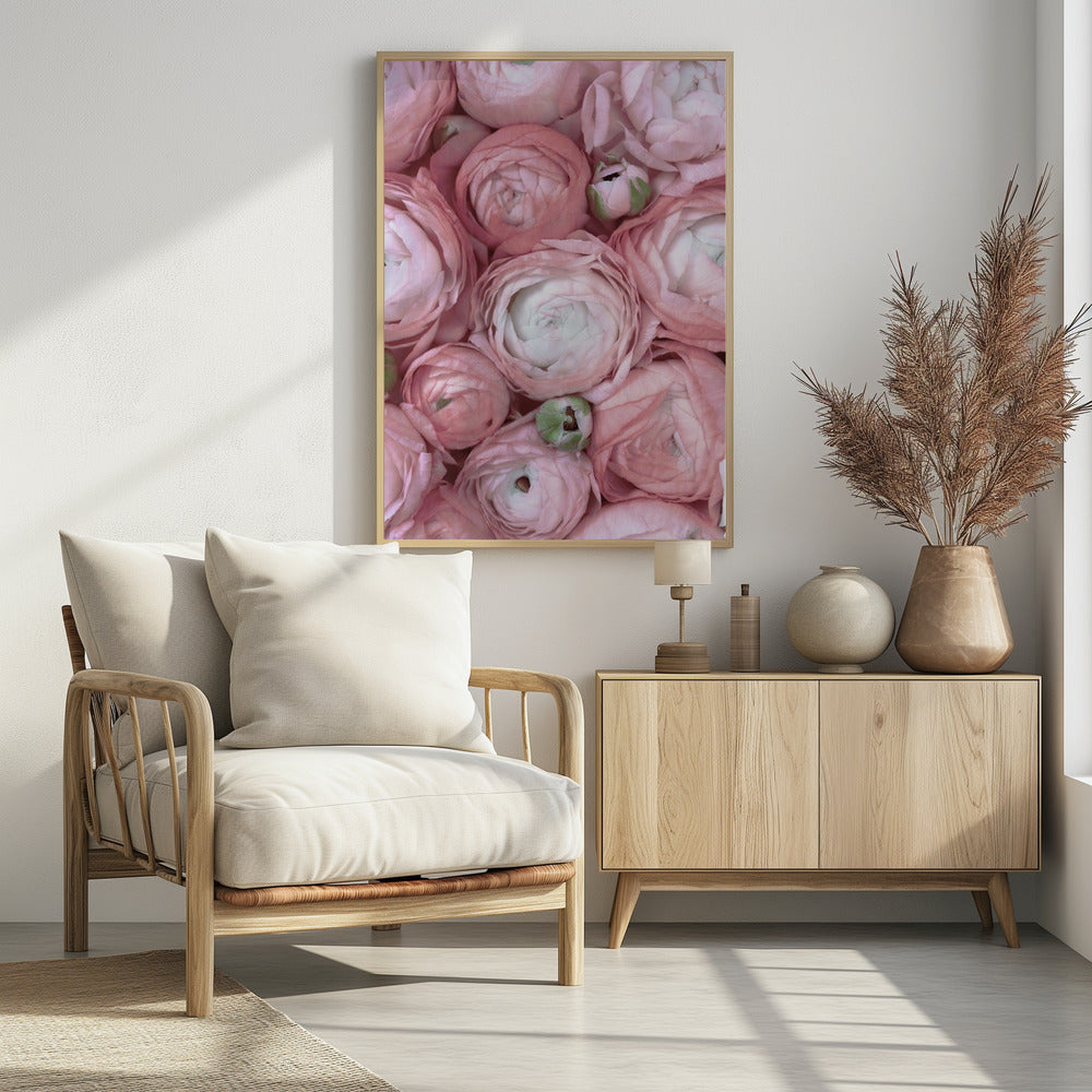 Subdued blush ranunculus Poster