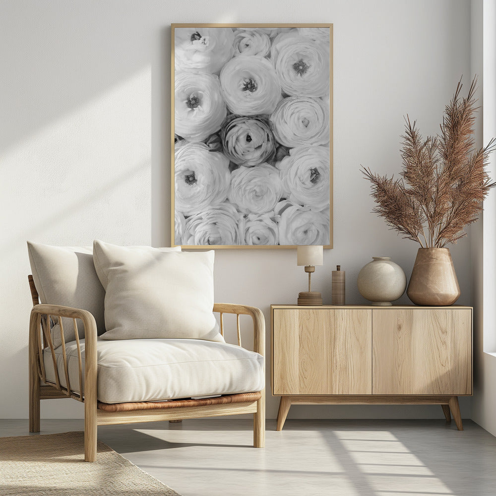 Singular ranunculus gray Poster