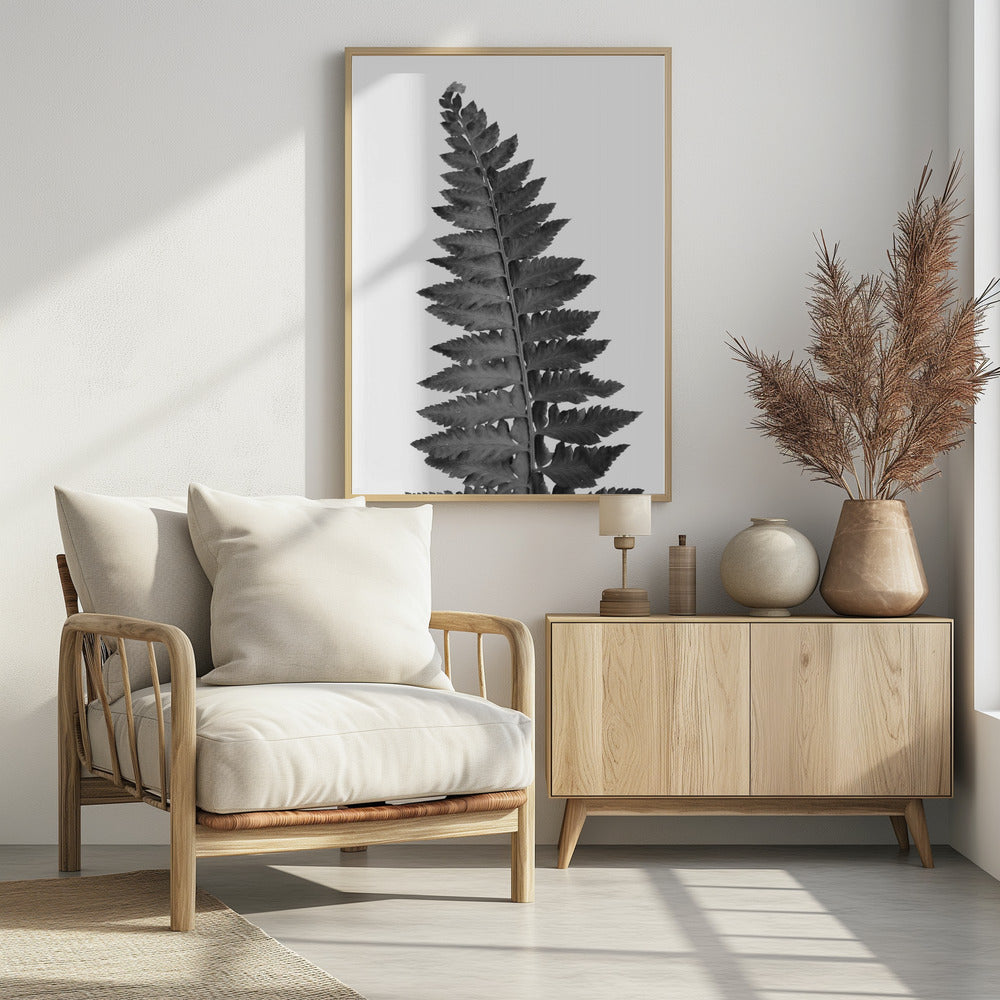 Gray fern leaf Poster