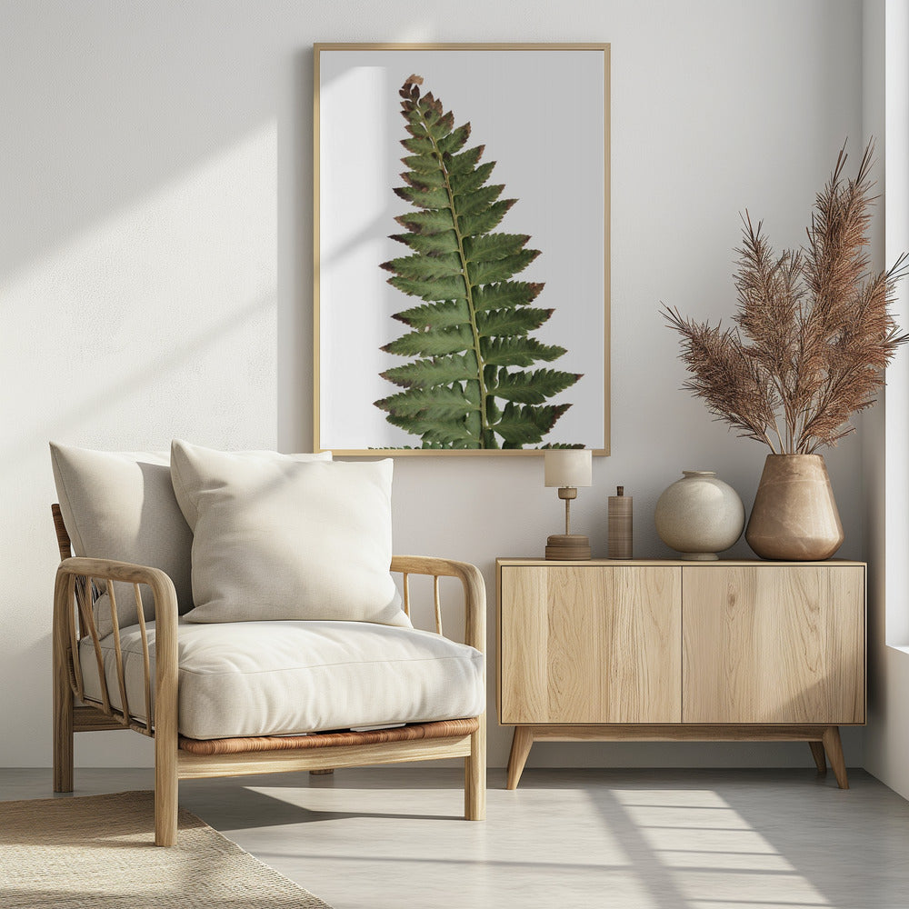 Green fern Poster