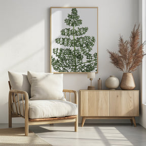 Green dainty leaves Poster