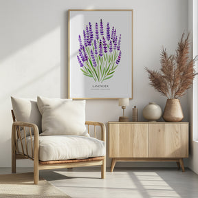 Lavender I Poster