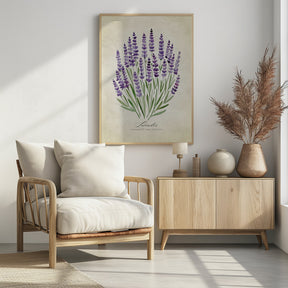 Lavender vintage Poster