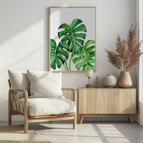 Monstera leaves in loose watercolor Poster