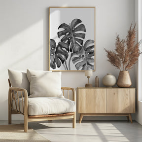 Monstera Leaves In Loose Watercolor Black and White Poster