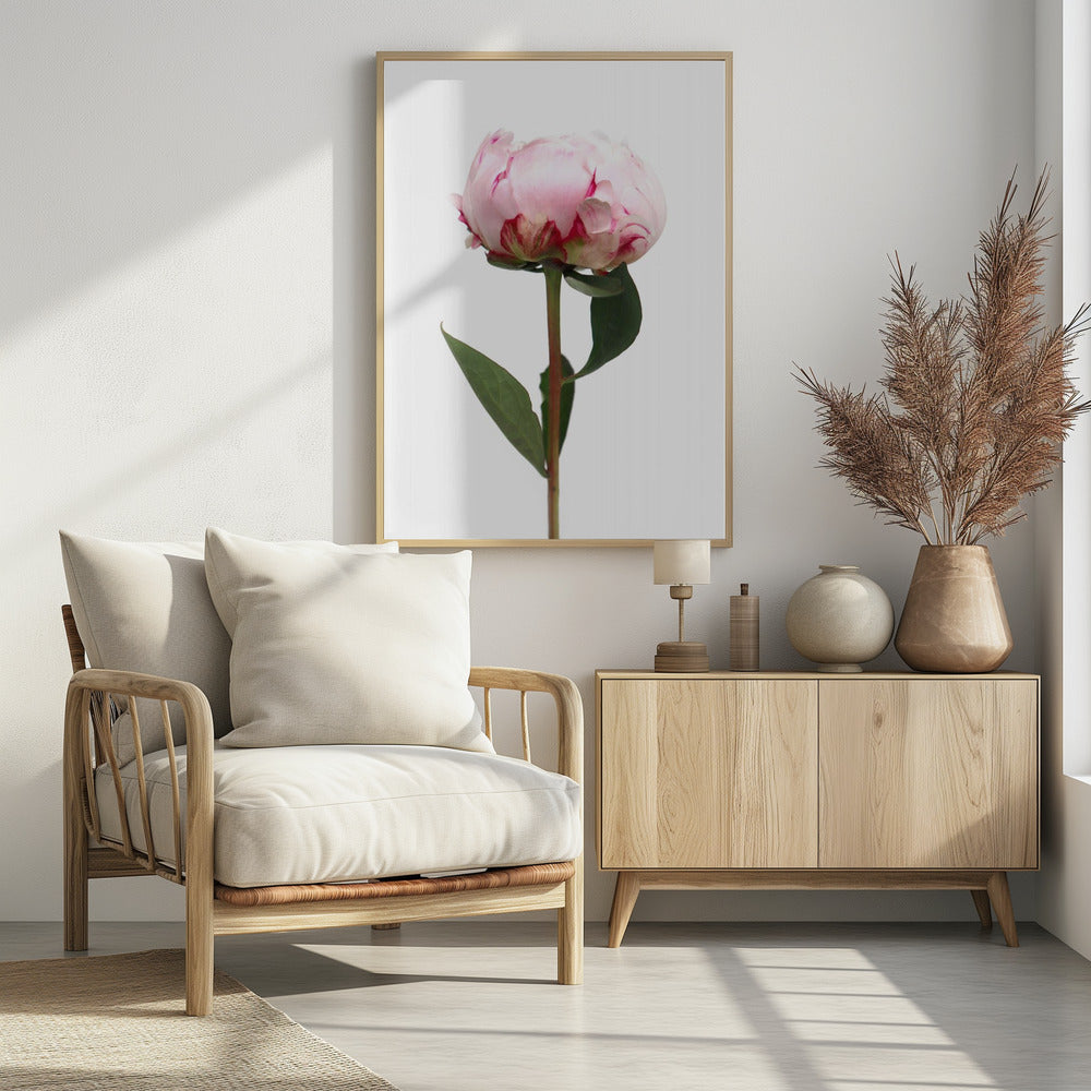 Pink peony II Poster