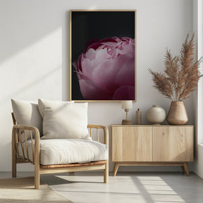 Moody pink peony II Poster