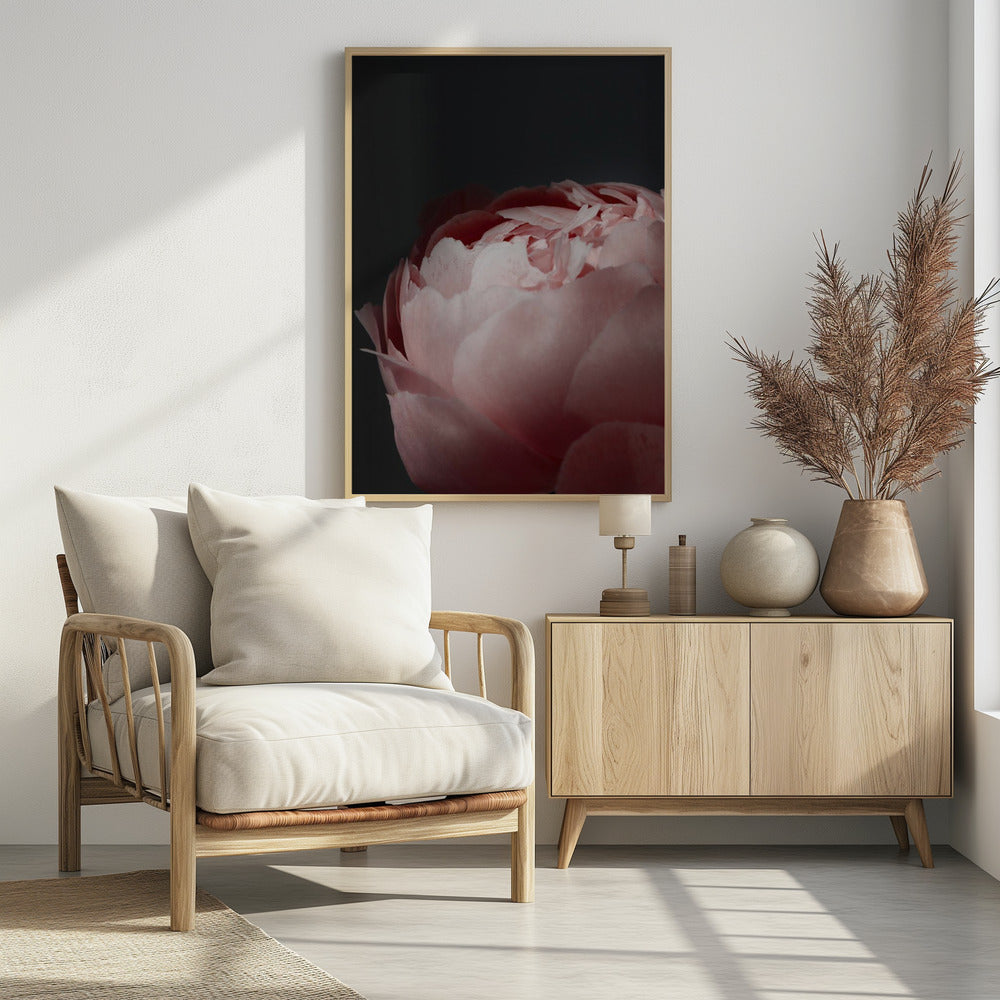 Moody blush peony II Poster