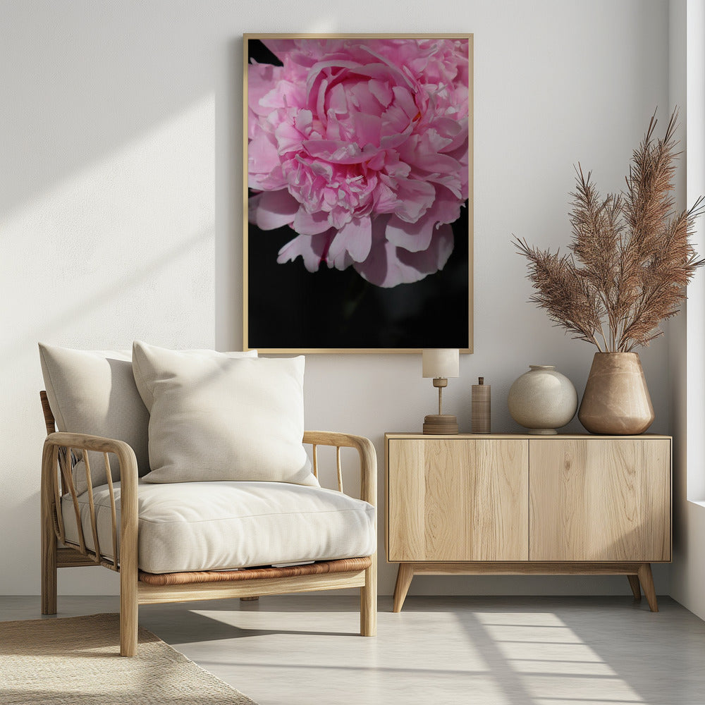 Pink peony V Poster