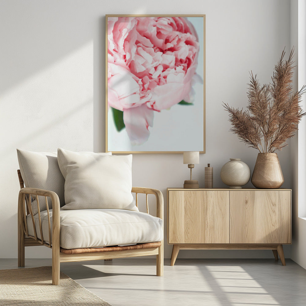 Blush peony VII Poster