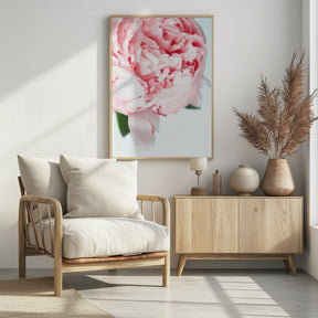 Blush peony VII Poster