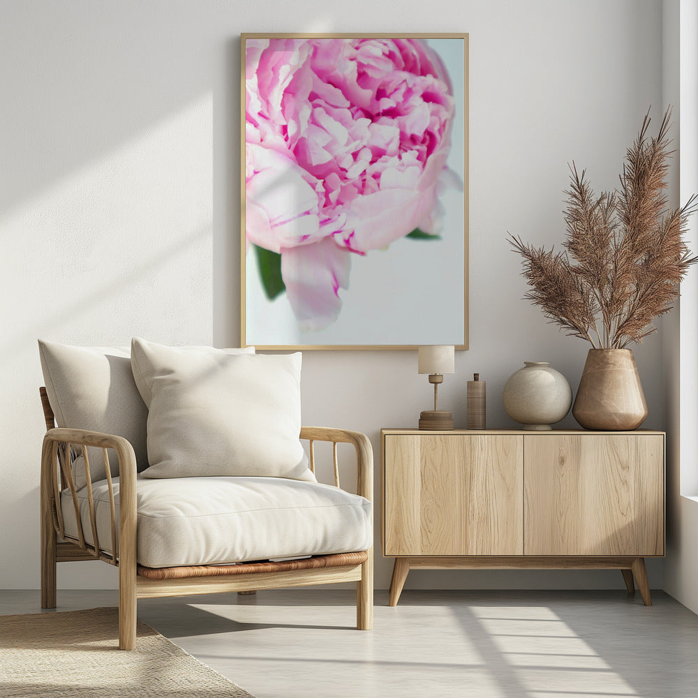 Pink peony VII Poster