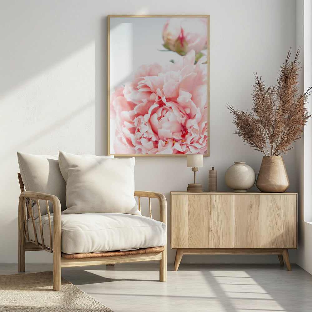 Blush peony IX Poster