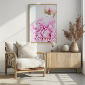 Pink peony IX Poster