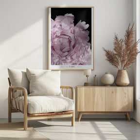 Enjoy the little things peony Poster