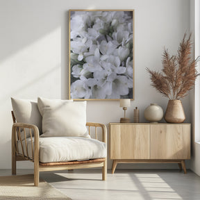 Distressed freesias IV Poster