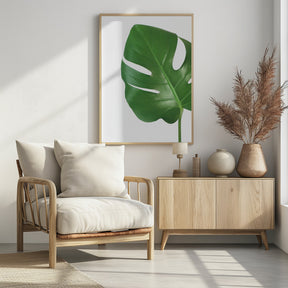 Bright green monstera leaf Poster