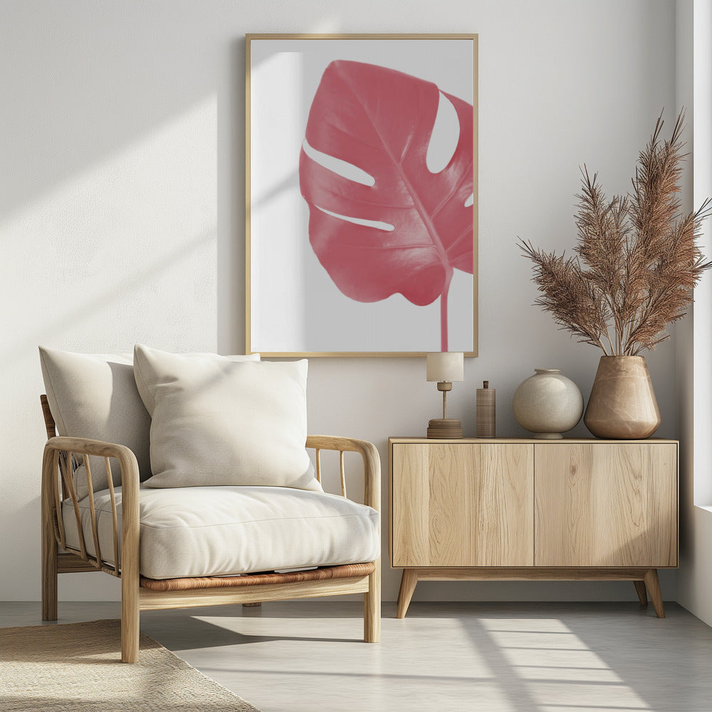 Pink monstera leaf Poster