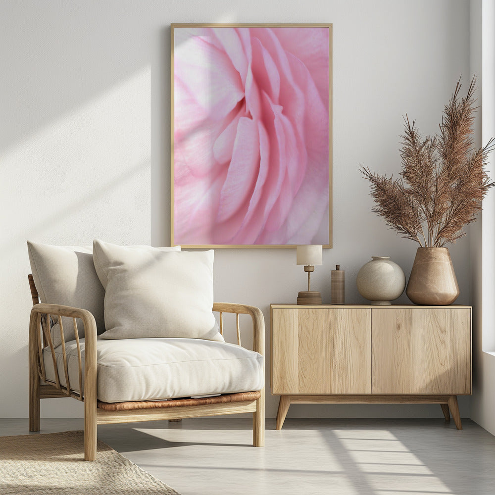 Soft pink petals Poster