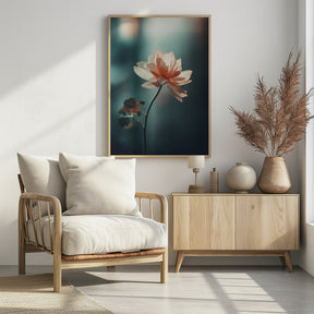 Coral Flowers At Night Poster