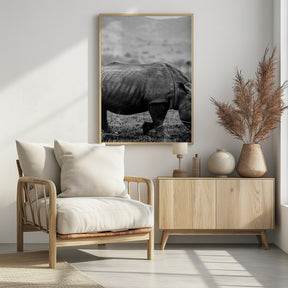 Black Rhino Poster