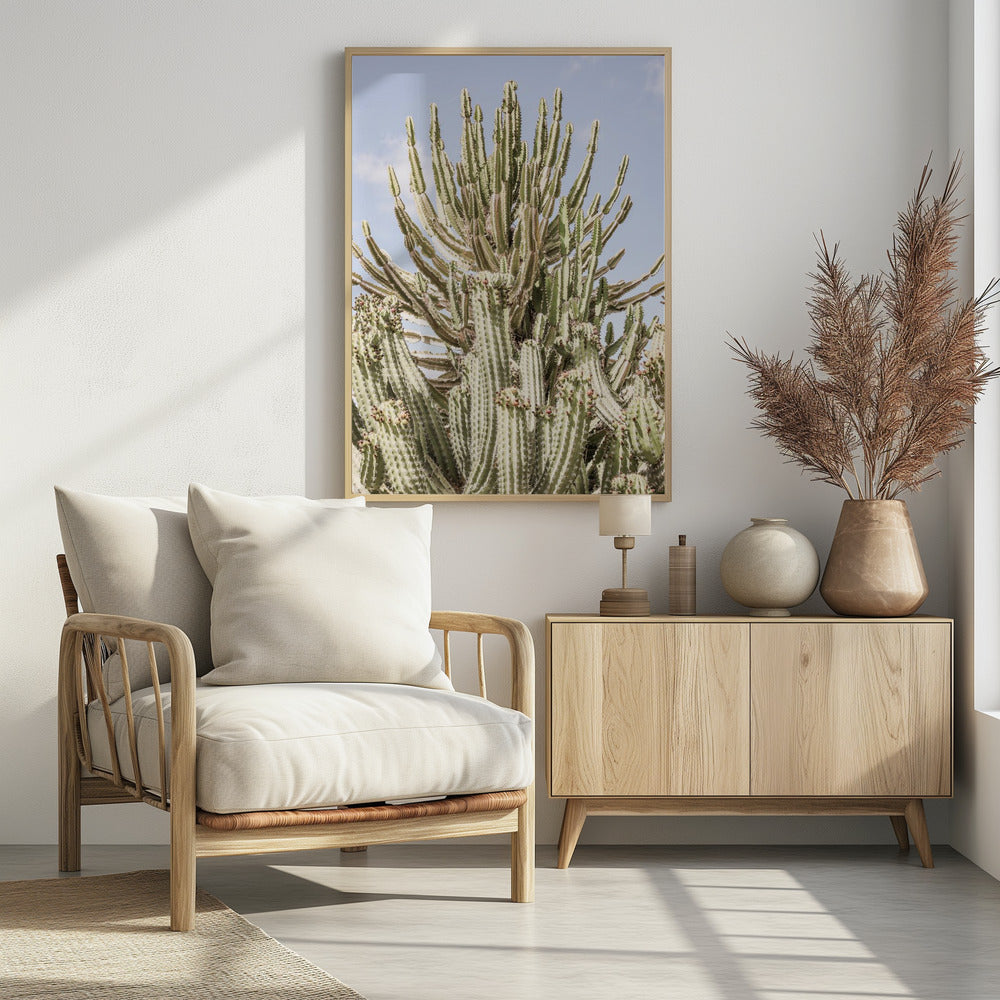 Catus Forest Poster