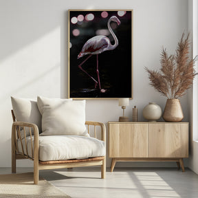 Dancing Flamingo Poster