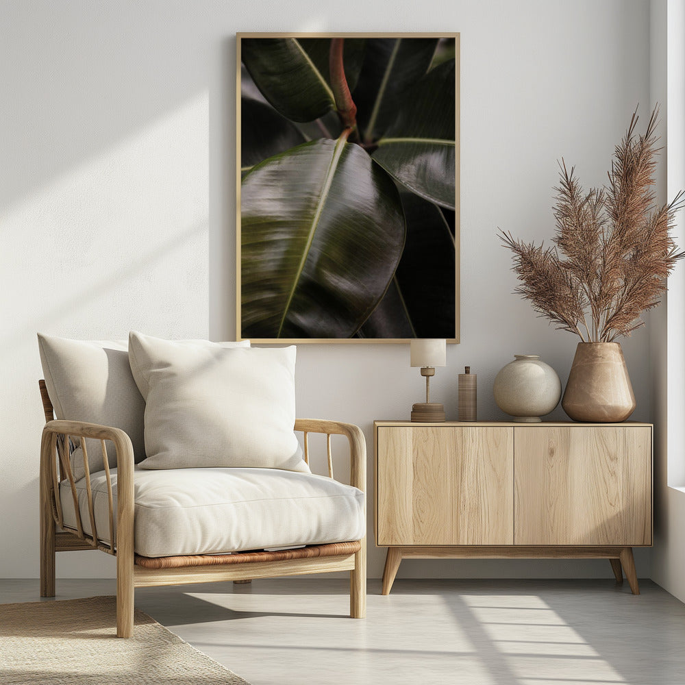 Ficus Bubu Poster