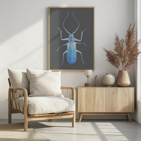 Insect Evolution Poster