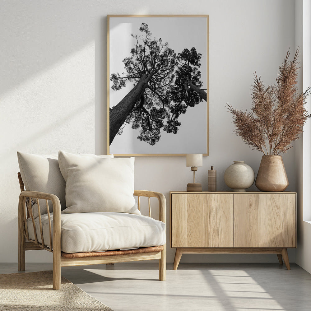 Japanese Garden 02 Poster