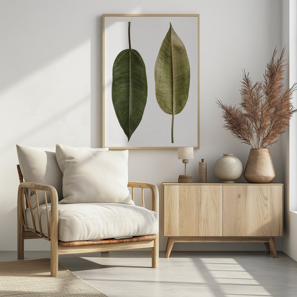 Leaf Study 05 Poster