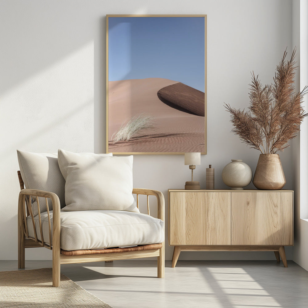 Namib Two Poster