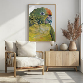 Parrot Poster