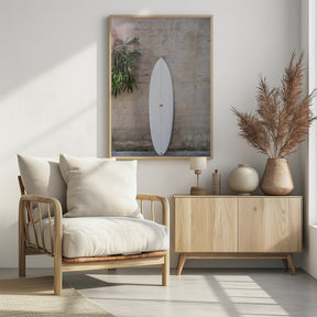 Safari Twinfin Poster