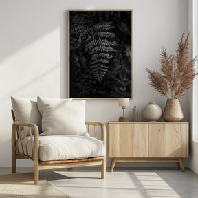 Silver Fern Poster