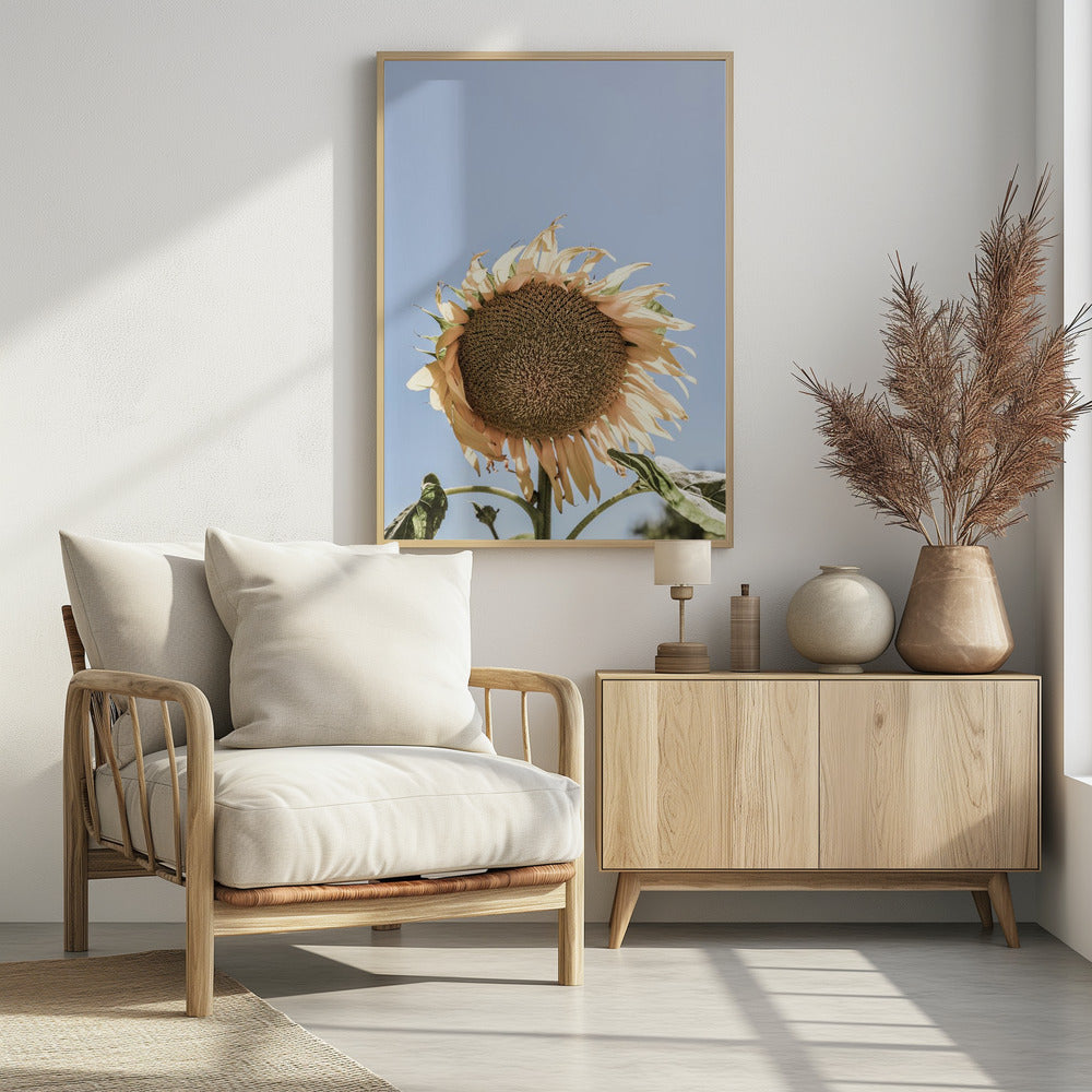 Sunny Bloom Poster