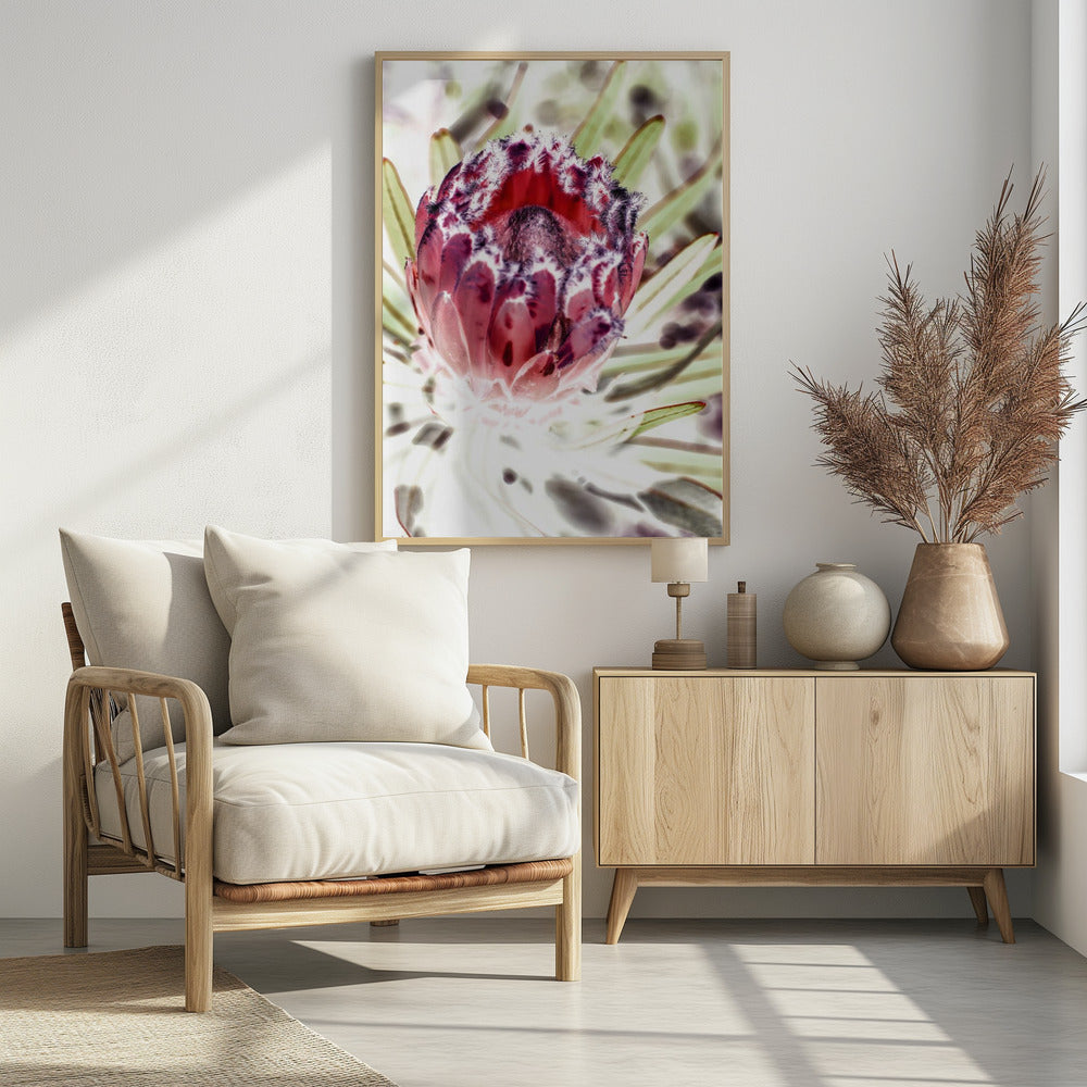 Wild Protea Poster