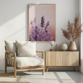 Lavender Detail Poster