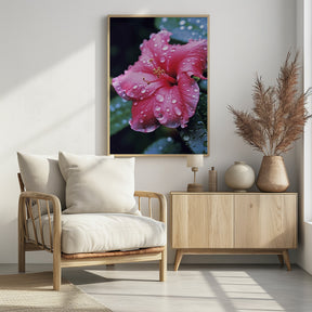 Pink Hibiscus Poster